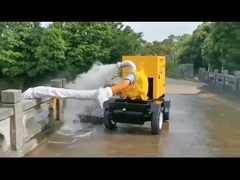 Powerful Flood Protection Pumps Speed 1450r/min for Unmatched Performance