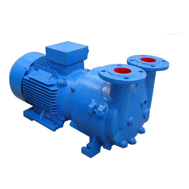 Rotor Diameter 300-1480mm Water Ring Vacuum Pump for High Temperature Environments